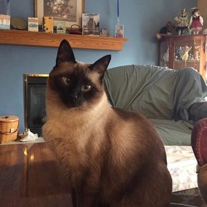 Meet your Posher, Linda